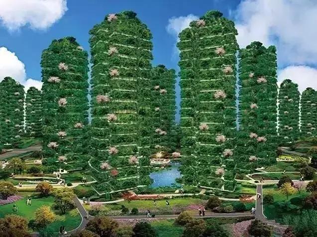 圣德保陶瓷森態石｜把森林&ldquo;植&rdquo;入家，凈享天然氧！