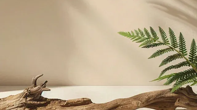 1751187145901386.png 640 (1).png